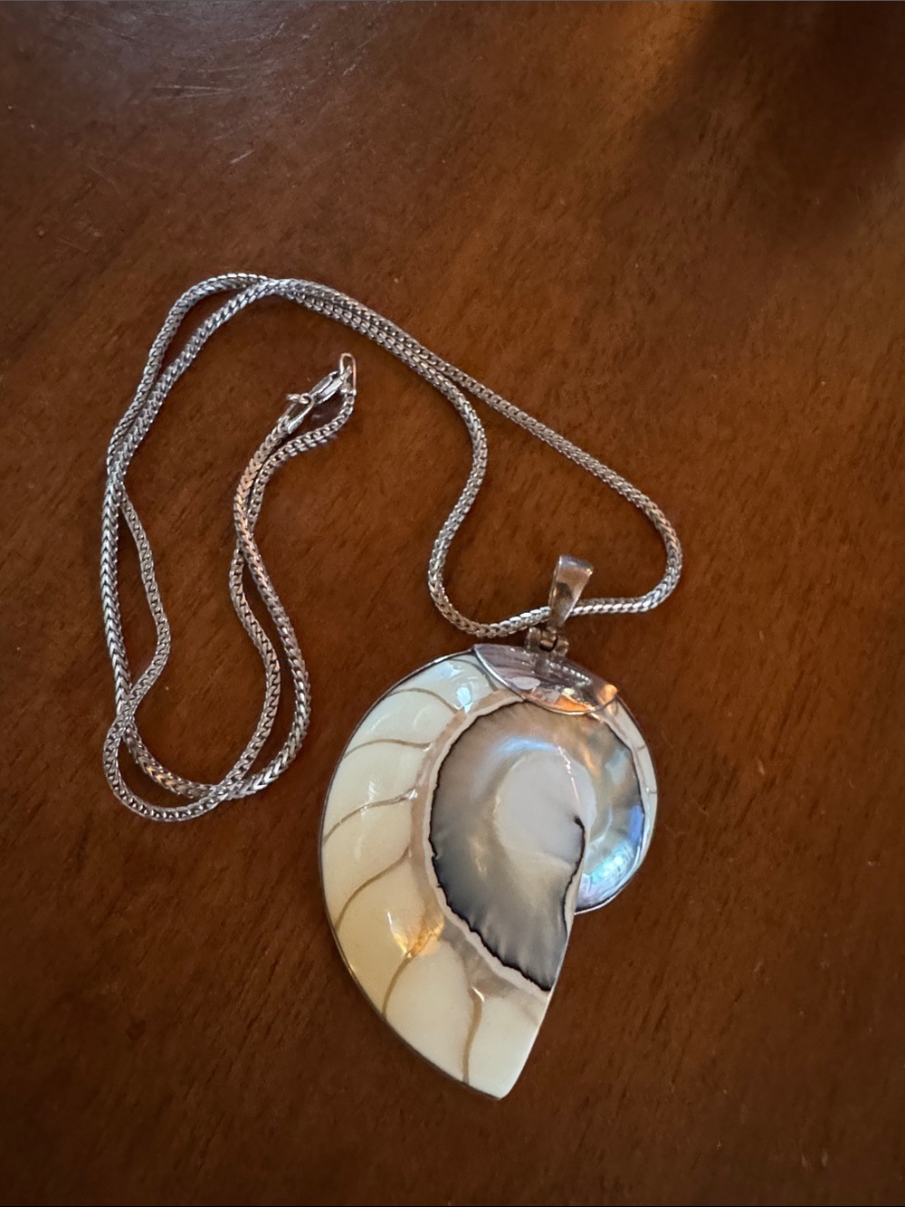 Silver Nautilus Shell Pendant Necklace in Cream and Iridescent White